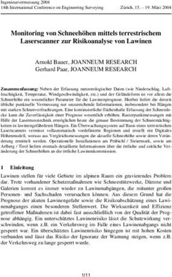 Monitoring von Schneeh&ouml;hen mittels terrestrischem Laserscanner zur Risikoanalyse von Lawinen