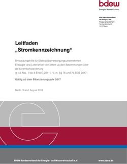 Leitfaden "Stromkennzeichnung" - BDEW