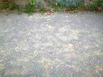 LossaLiebe Einwohnerinnen und Einwohner - der Gemeinde Lossatal, Gemeinde ...