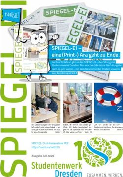 SPIEGEL-EI - eine (Print-) &Auml;ra geht zu Ende - CAZ
