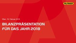 BILANZPR&Auml;SENTATION F&Uuml;R DAS JAHR 2018 - Wien, 19. Februar 2019 - Palfinger AG