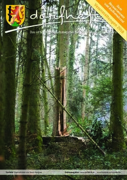 Das offizielle Monatsmagazin für Dürrenäsch 02/ 2018 - Dorfheftli