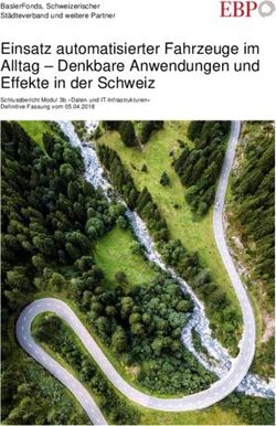 Einsatz automatisierter Fahrzeuge im Alltag - Denkbare Anwendungen und Effekte in der Schweiz - BaslerFonds, Schweizerischer Städteverband und ...