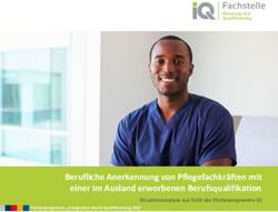 Berufliche Anerkennung von Pflegefachkr&auml;ften mit einer im Ausland erworbenen Berufsqualifikation - Situationsanalyse aus Sicht des F&ouml;rderprogramms ...