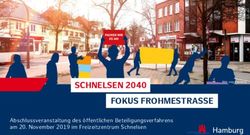 SCHNELSEN 2040 FOKUS FROHMESTRASSE - GeoPortal