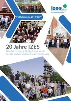 20 Jahre IZES - Institutsbericht 2018/2019 - 20 Jahre Forschung f&uuml;r die Energiewende, den Klimaschutz und die Ressourcenschonung