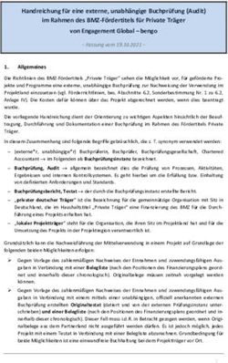 Handreichung f&uuml;r eine externe, unabh&auml;ngige Buchpr&uuml;fung (Audit) im Rahmen des BMZ-F&ouml;rdertitels f&uuml;r Private Tr&auml;ger von Engagement Global - bengo ...
