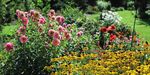 Wassersparend gießen - www.naturimgarten.at Gemeinsam für ein gesundes Morgen - auf Natur im Garten