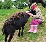 Bauernhoftiere bewegen Menschen e.V - Andrea Göhring