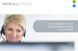 Lotsenkonzepte f&uuml;r die Gesundheitsversorgung - Fokus Zielgruppe - Chronic ...