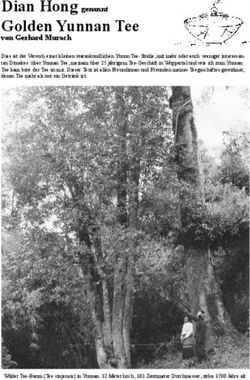 Golden Yunnan Tee Dian Hong genannt