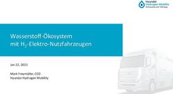 WASSERSTOFF-&Ouml;KOSYSTEM MIT H2-ELEKTRO-NUTZFAHRZEUGEN - JAN 22, 2021 MARK FREYM&Uuml;LLER, CEO HYUNDAI HYDROGEN MOBILITY - ALPENFORCE