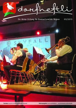 Die kleine Zeitung f&uuml;r Boniswil und die Region 05/ 2019