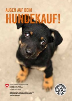 HUNDEKAUF! AUGEN AUF BEIM - Hundekauf.ch