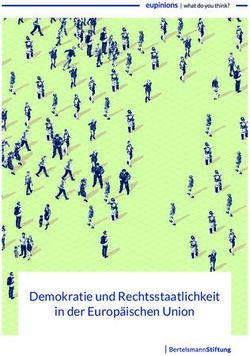 Demokratie und Rechtsstaatlichkeit in der Europäischen Union