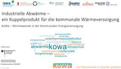 INDUSTRIELLE ABW&Auml;RME - EIN KUPPELPRODUKT F&Uuml;R DIE KOMMUNALE W&Auml;RMEVERSORGUNG - KOWA - W&Auml;RMEWENDE IN DER KOMMUNALEN ENERGIEVERSORGUNG