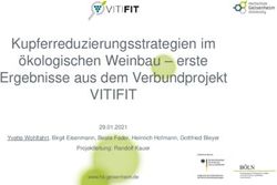 VITIFIT Kupferreduzierungsstrategien im Ergebnisse aus dem Verbundprojekt - &ouml;kologischen Weinbau - erste - DLR ...