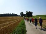 Hauptwanderweg25 90km - Von Bad König im Mümlingtal über Eberbach am Neckar nach Eppingen an der Elsenz - Odenwaldklub eV