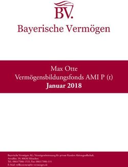 Max Otte Vermögensbildungsfonds AMI P (t) - Januar 2018 - Bayerische Vermögen AG, Vermögensbetreuung für private Kunden Aktiengesellschaft ...