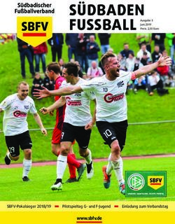 S&Uuml;DBADEN FUSSBALL - www.sbfv.de SBFV-Pokalsieger 2018/19