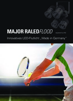 MAJOR RALEDFLOOD engineered by LANZ - Innovatives LED-Flutlicht "Made in Germany" - Major Lighting