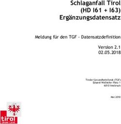 Schlaganfall Tirol (HD I61 + I63) - Meldung f&uuml;r den TGF - Datensatzdefinition Version 2.1 02.05.2018