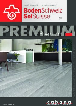 PREMIUM 5|11 FACHZEITSCHRIFT - BODENSCHWEIZ