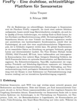 FireFly - Eine drahtlose, echtzeitf&auml;hige Plattform f&uuml;r Sensornetze
