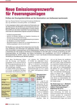 Neue Emissionsgrenzwerte f&uuml;r Feuerungsanlagen - Einfluss der Druckger&auml;terichtlinie auf die Konstruktion von Gro&szlig;wasserraumkesseln - IHKS ...