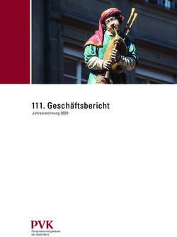 Geschäftsbericht - Jahresrechnung 2020 - PVK der Stadt Bern