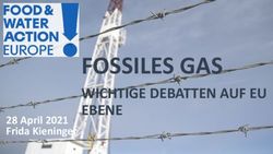 FOSSILES GAS WICHTIGE DEBATTEN AUF EU EBENE - 28 April 2021 Frida Kieninger