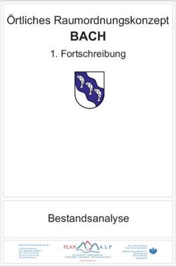 &Ouml;rtliches Raumordnungskonzept - BACH 1. Fortschreibung - Planalp
