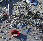 Müllkippe Meer - Plastik und seine tödlichen Folgen