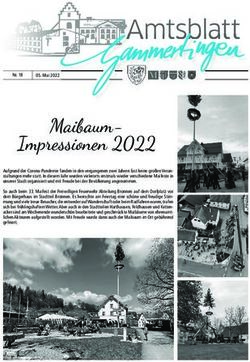 Maibaum-Impressionen 2022 - Stadt Gammertingen