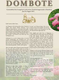 Juni bis August 2022 Gemeindebrief der Evangelisch-Lutherischen Domkirchengemeinde in Ratzeburg - Der Ratzeburger Dom