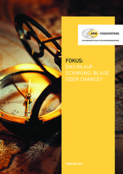 FOKUS: DAX IM AUF SCHWUNG: BLASE ODER CHANCE? - FEBRUAR 2011