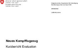 Neues Kampfflugzeug Kurzbericht Evaluation - Der Bundesrat ...