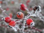 Weihnachten beginnt mit Aufbruch - Kath. Pfarrgemeinde St ...