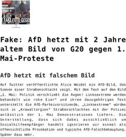 FAKE: AFD HETZT MIT 2 JAHRE ALTEM BILD VON G20 GEGEN 1. MAI-PROTESTE - VOLKSVERPETZER
