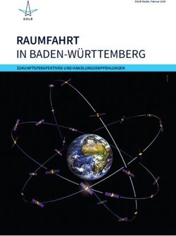 RAUMFAHRT IN BADEN-WÜRTTEMBERG - ZUKUNFTSPERSPEKTIVEN UND HANDLUNGSEMPFEHLUNGEN - Ministerium für Wirtschaft ...