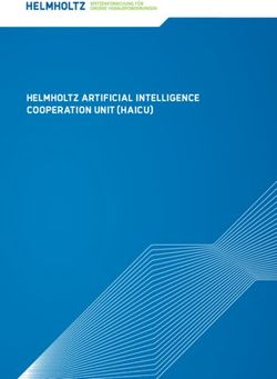 Helmholtz Artificial Intelligence Cooperation Unit (HAICU) - Helmholtz-Gemeinschaft