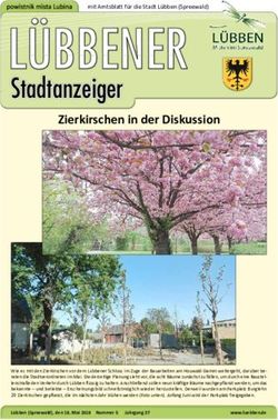 Stadtanzeiger - STADT LÜBBEN Spreewald
