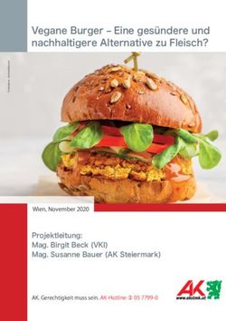 Vegane Burger - Eine ges&uuml;ndere und nachhaltigere Alternative zu Fleisch? - Projektleitung: Mag. Birgit Beck VKI Mag. Susanne Bauer AK ...