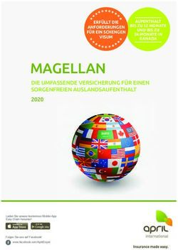 MAGELLAN DIE UMFASSENDE VERSICHERUNG F&Uuml;R EINEN SORGENFREIEN AUSLANDSAUFENTHALT 2020 - APRIL INTERNATIONAL CARE