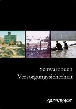 Schwarzbuch Versorgungssicherheit - Greenpeace