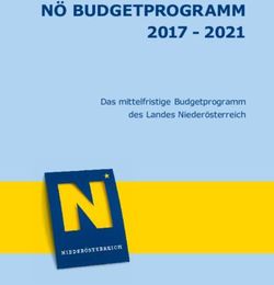N&Ouml; BUDGETPROGRAMM 2017 2021 - Das mittelfristige Budgetprogramm des Landes Nieder&ouml;sterreich - N&Ouml; Landtag