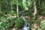 Herrlicher Lauf durch die sch&ouml;nste Schlucht der Schweiz - Jura-Top-Tour