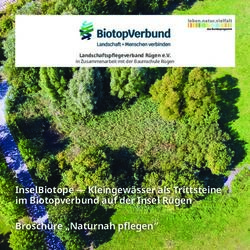 InselBiotope - Kleingew&auml;sser als Trittsteine im Biotopverbund auf der Insel R&uuml;gen Brosch&uuml;re "Naturnah pflegen" - Landschaftspflege verband R&uuml;gen e.V.