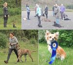 Ablauf und Parksituation am Impfzentrum Saarland S&uuml;d - Gemeinde Quierschied