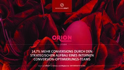 14,7% MEHR CONVERSIONS DURCH DEN STRATEGISCHEN AUFBAU EINES INTERNEN CONVERSION-OPTIMIERUNGS-TEAMS - FALL STUDIE